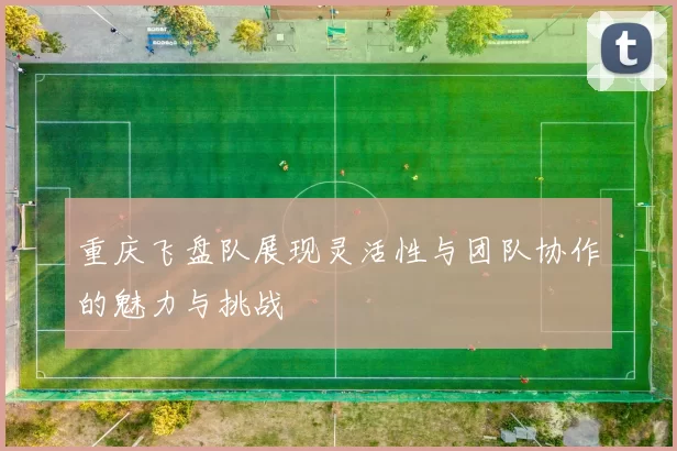 重庆飞盘队展现灵活性与团队协作的魅力与挑战