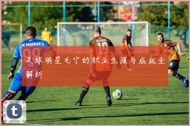 足球明星毛宁的职业生涯与成就全解析
