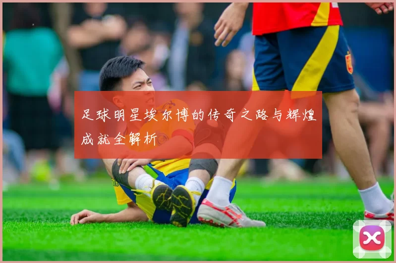 足球明星埃尔博的传奇之路与辉煌成就全解析