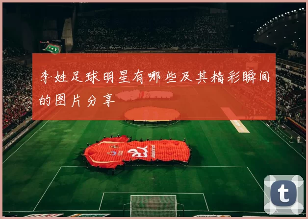 李姓足球明星有哪些及其精彩瞬间的图片分享