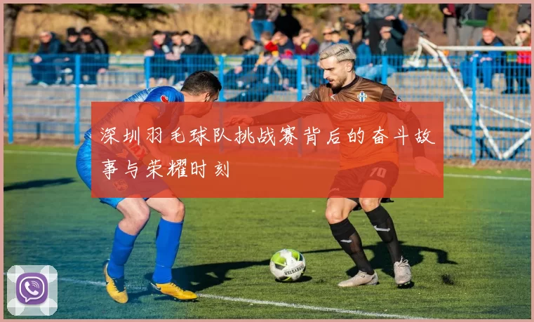 深圳羽毛球队挑战赛背后的奋斗故事与荣耀时刻