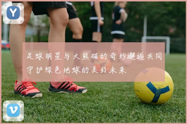 足球明星与大熊猫的奇妙邂逅共同守护绿色地球的美好未来