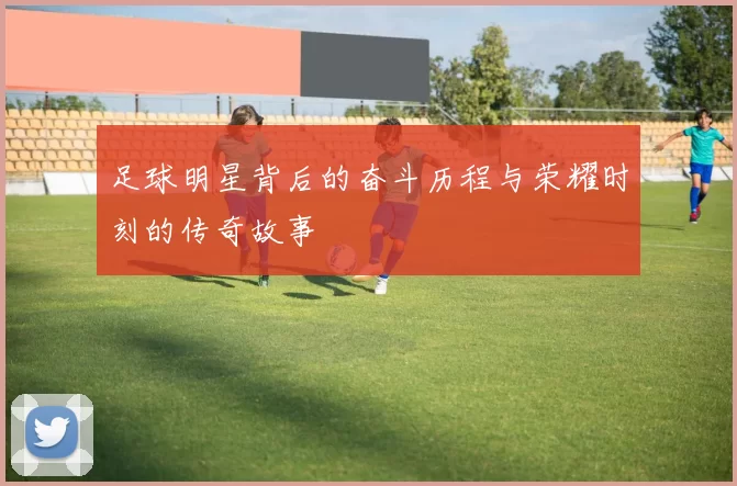 足球明星背后的奋斗历程与荣耀时刻的传奇故事