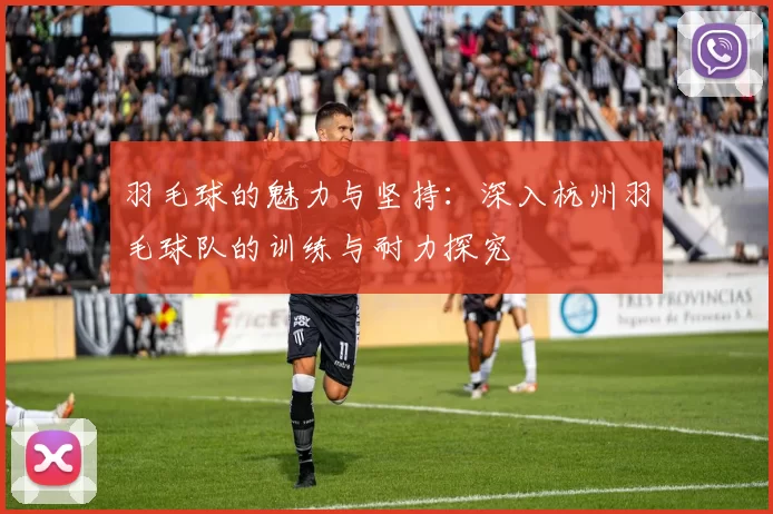 羽毛球的魅力与坚持：深入杭州羽毛球队的训练与耐力探究