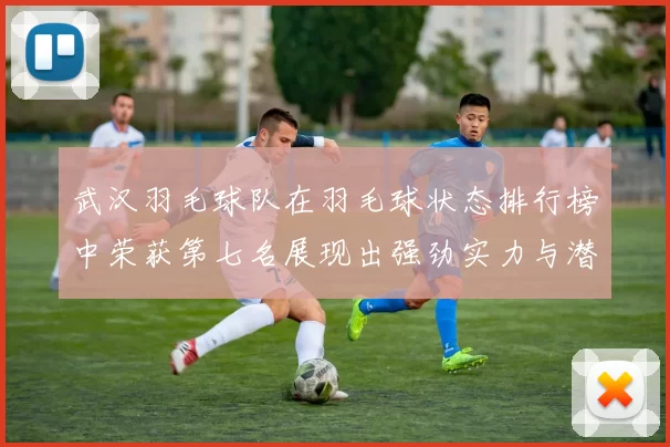 武汉羽毛球队在羽毛球状态排行榜中荣获第七名展现出强劲实力与潜力