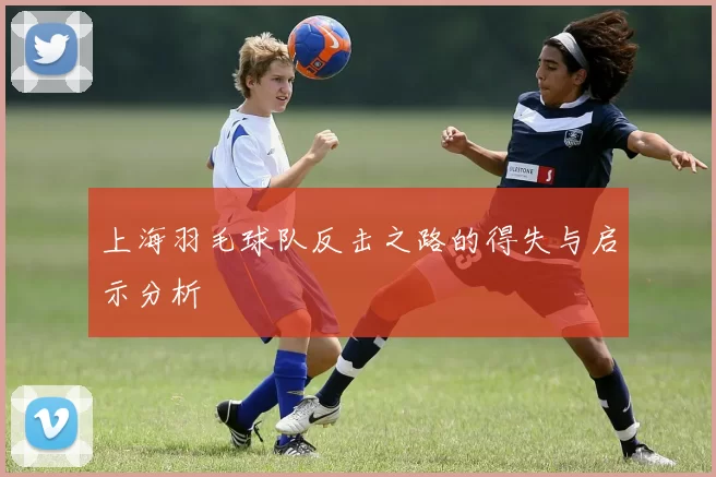 上海羽毛球队反击之路的得失与启示分析