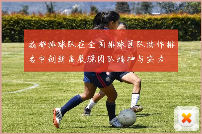 成都排球队在全国排球团队协作排名中创新高展现团队精神与实力