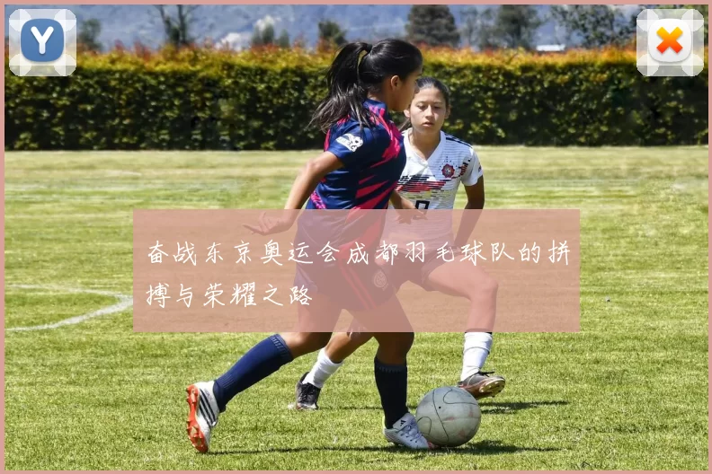 奋战东京奥运会成都羽毛球队的拼搏与荣耀之路