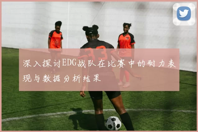 深入探讨EDG战队在比赛中的耐力表现与数据分析结果