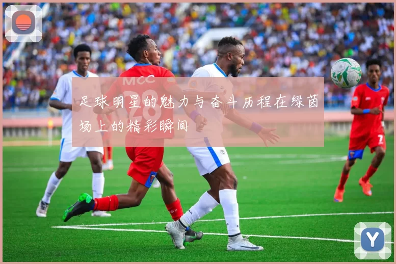 足球明星的魅力与奋斗历程在绿茵场上的精彩瞬间