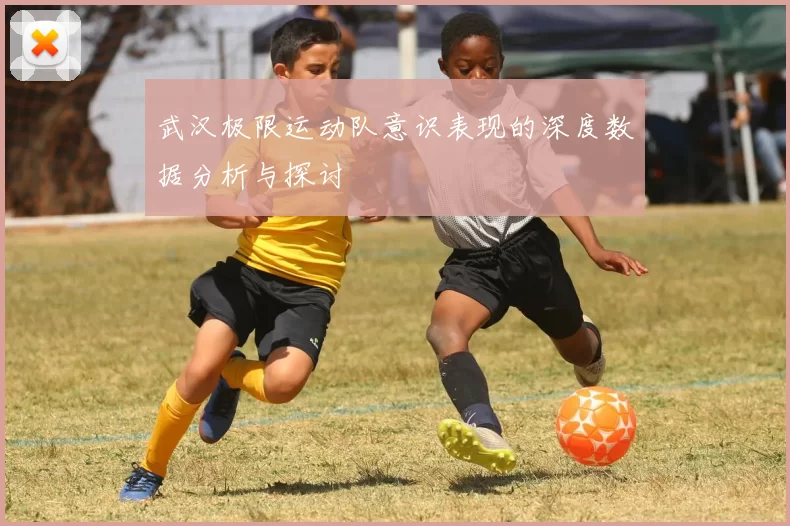 武汉极限运动队意识表现的深度数据分析与探讨