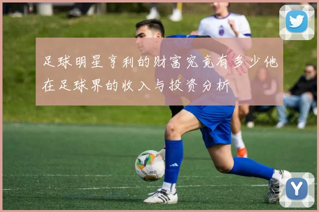 足球明星亨利的财富究竟有多少他在足球界的收入与投资分析