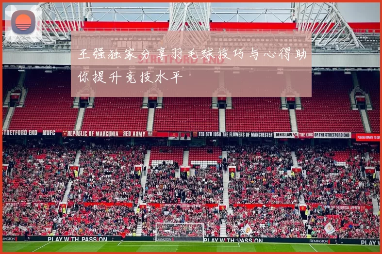 王强独家分享羽毛球技巧与心得助你提升竞技水平