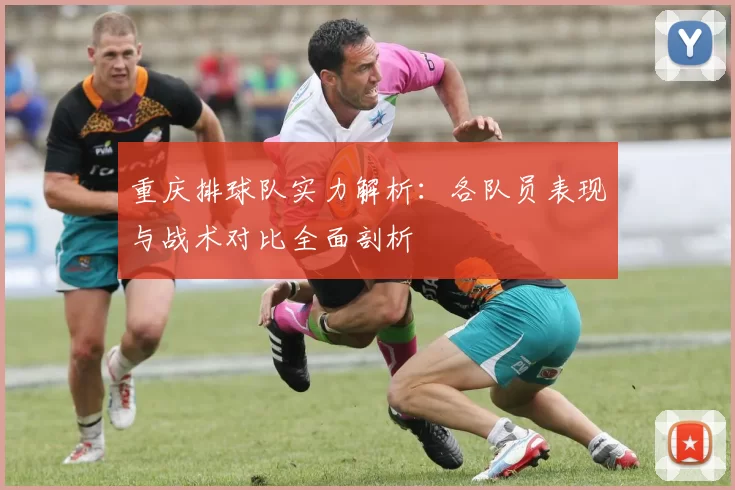 重庆排球队实力解析：各队员表现与战术对比全面剖析