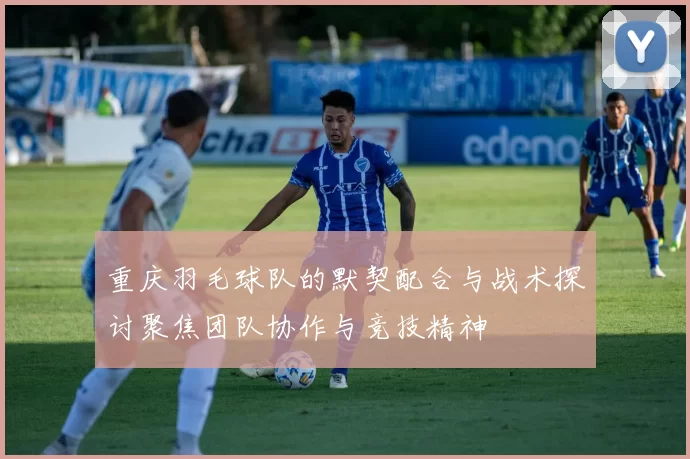 重庆羽毛球队的默契配合与战术探讨聚焦团队协作与竞技精神
