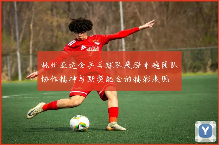杭州亚运会乒乓球队展现卓越团队协作精神与默契配合的精彩表现