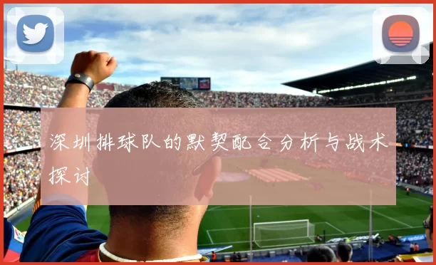 深圳排球队的默契配合分析与战术探讨