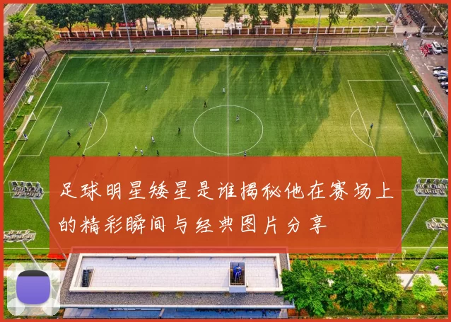 足球明星矮星是谁揭秘他在赛场上的精彩瞬间与经典图片分享