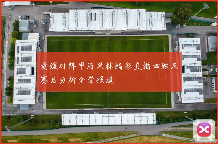爱媛对阵甲府风林精彩直播回顾及赛后分析全景报道