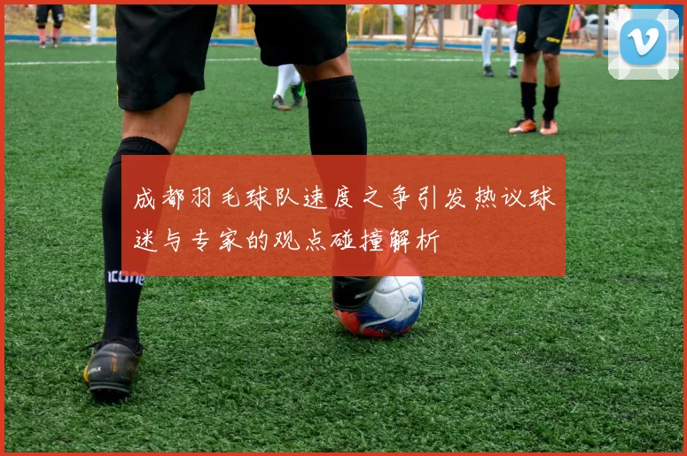 成都羽毛球队速度之争引发热议球迷与专家的观点碰撞解析