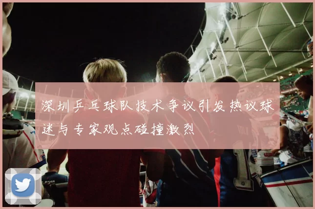 深圳乒乓球队技术争议引发热议球迷与专家观点碰撞激烈