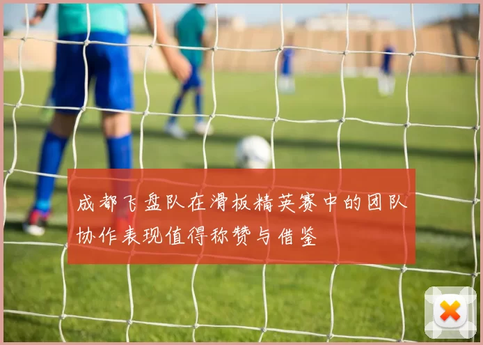 成都飞盘队在滑板精英赛中的团队协作表现值得称赞与借鉴