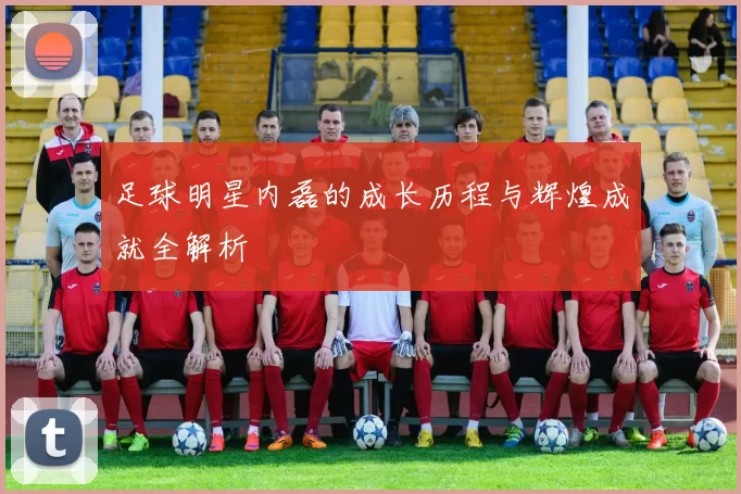 足球明星内磊的成长历程与辉煌成就全解析