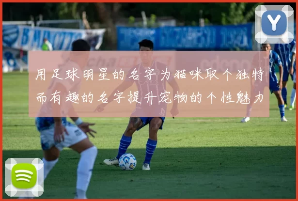 用足球明星的名字为猫咪取个独特而有趣的名字提升宠物的个性魅力