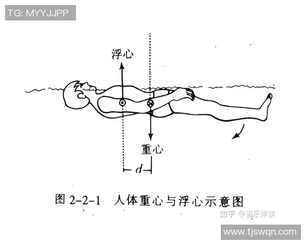 探索游泳技巧的完美融合：从蛙泳到自由泳的动作解析与优化方法