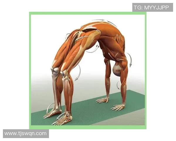 瑜伽修习与身心和谐的关系探索：从基础到进阶的全面指南