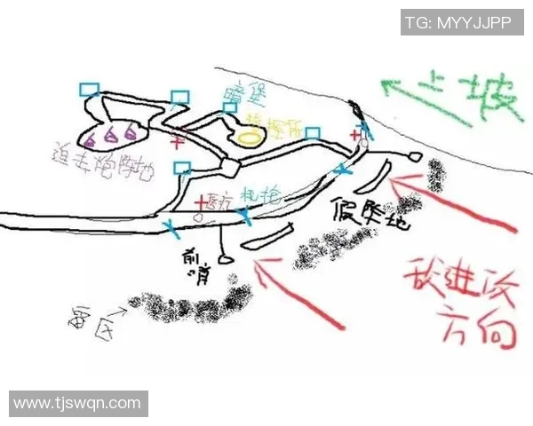 深入分析重庆排球队的防反战术及其在比赛中的应用效果