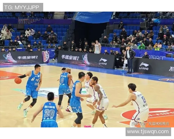 购买一只CBA球队的费用与投资回报